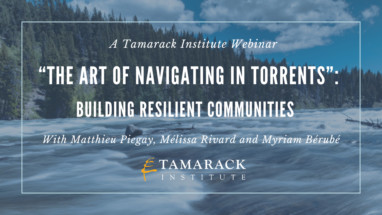 “The Art of Navigating in Torrents”: Building Resilient Communities