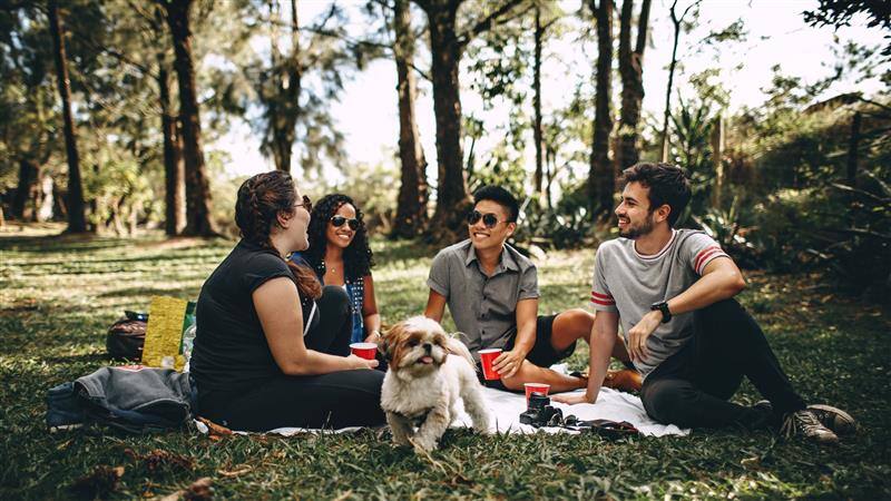 People sitting in the park with a dog