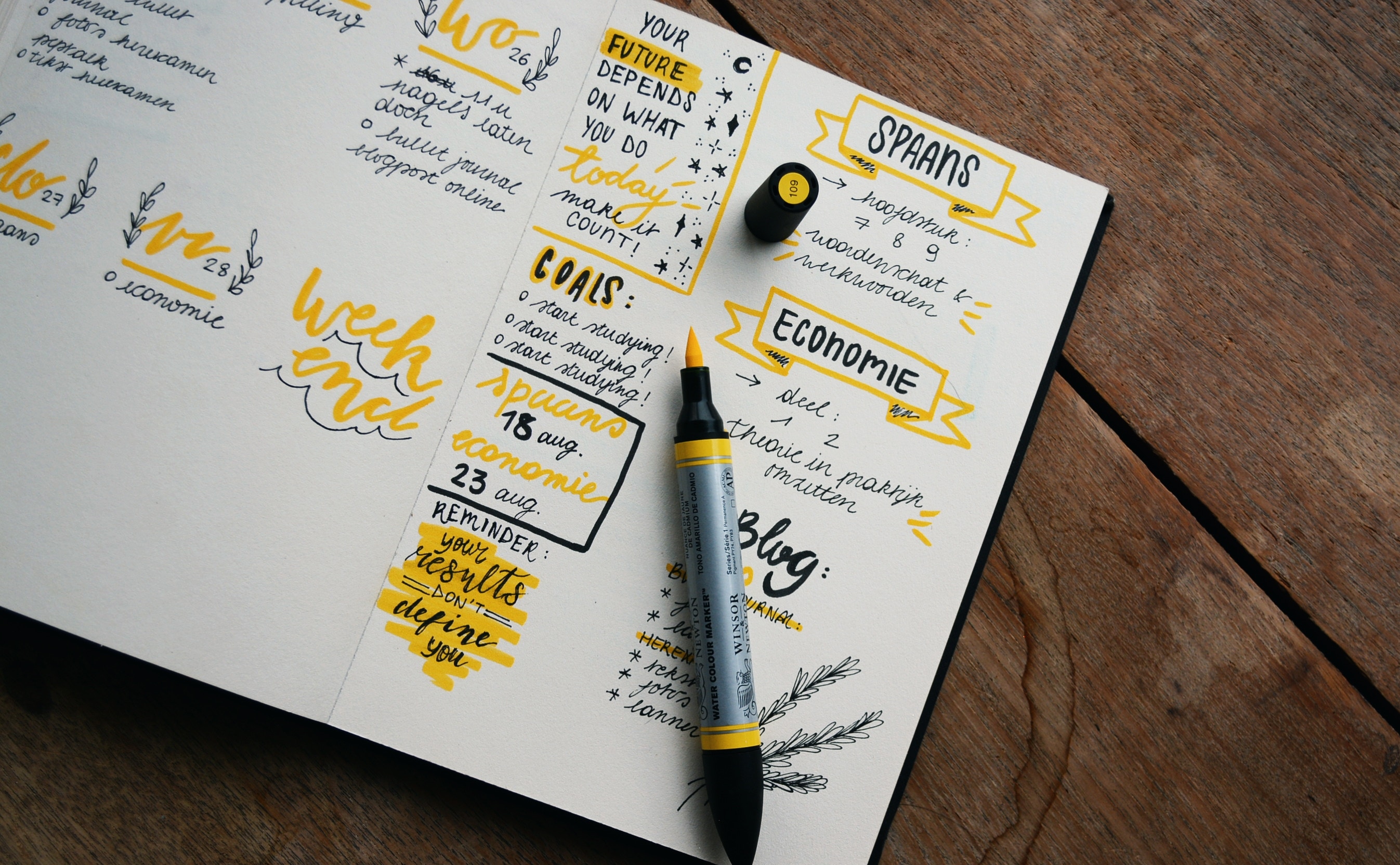 Systems Change Evaluation Canvas