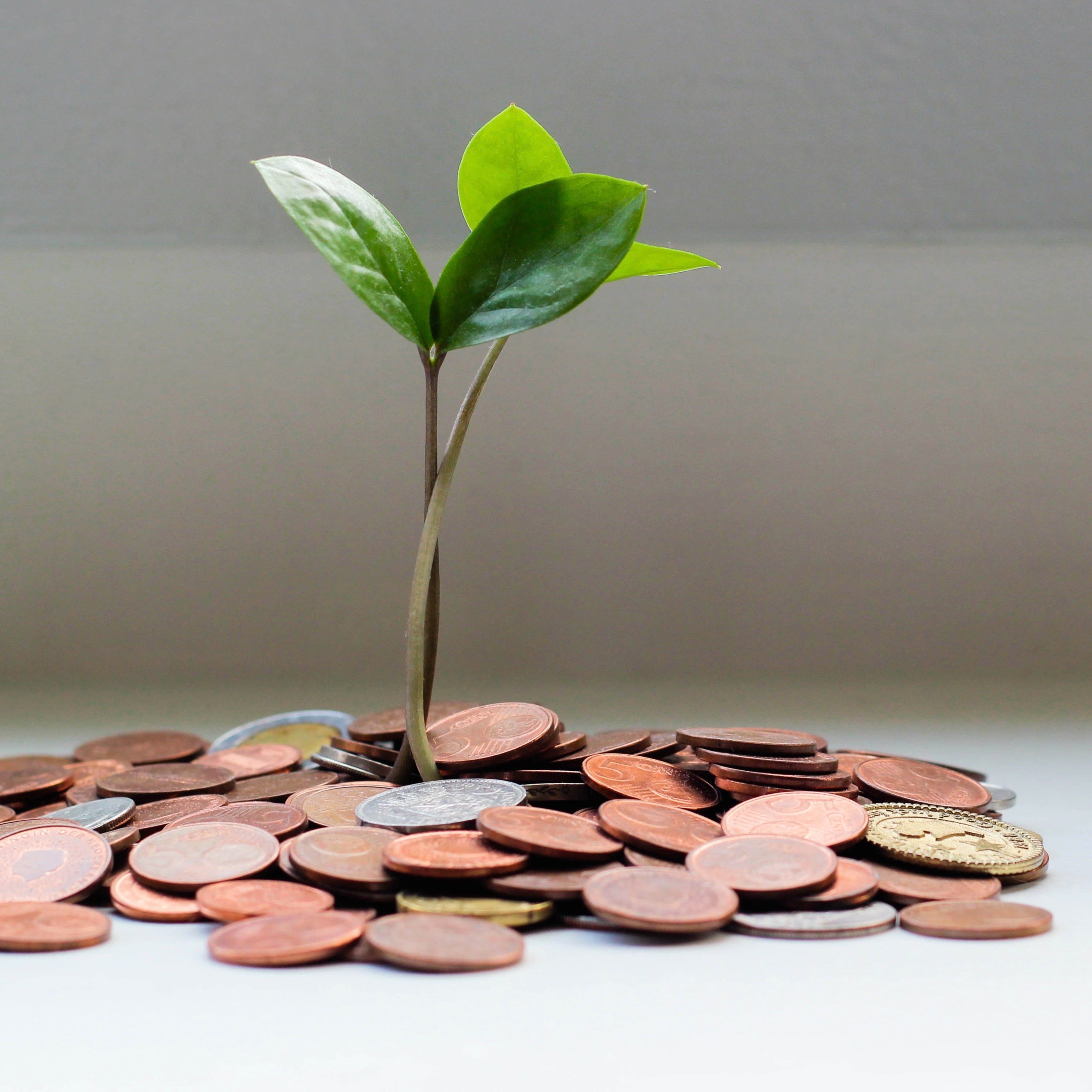 Financial Inclusion Community of Practice