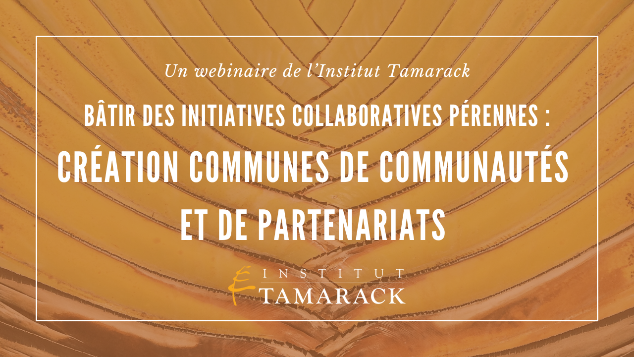 Bâtir une initiative collaborative pérenne : Création communes de communautés et de partenariats