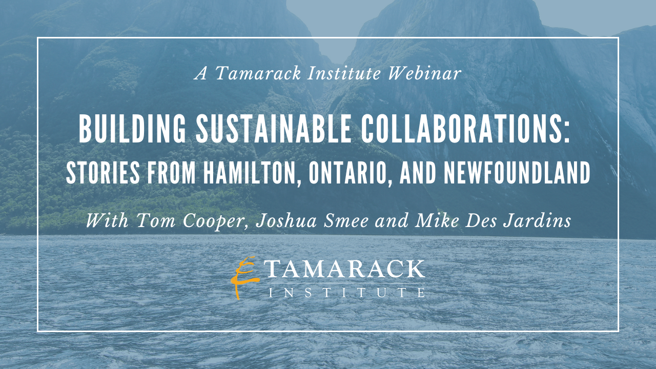WEBINAR | Building Sustainable Collaborations: Stories from Hamilton, Ontario, and Newfoundland