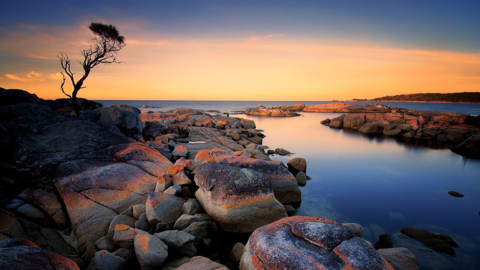 REPORT | From Divergence to Convergence: Integrating Research and Practice in Australian Leadership Development