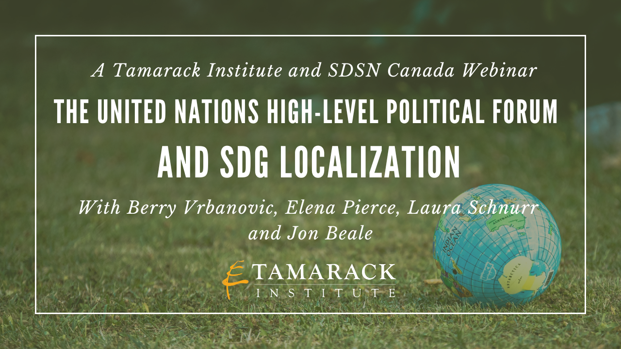WEBINAR | The United Nations High-Level Political Forum and SDG Localization
