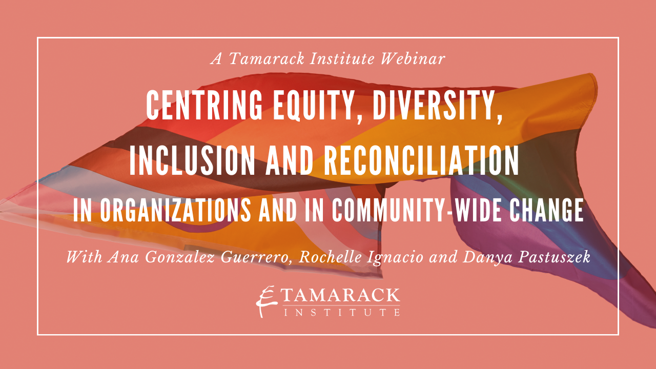 Centring Equity, Diversity, Inclusion and Reconciliation in Organizations and in Community-Wide Change 