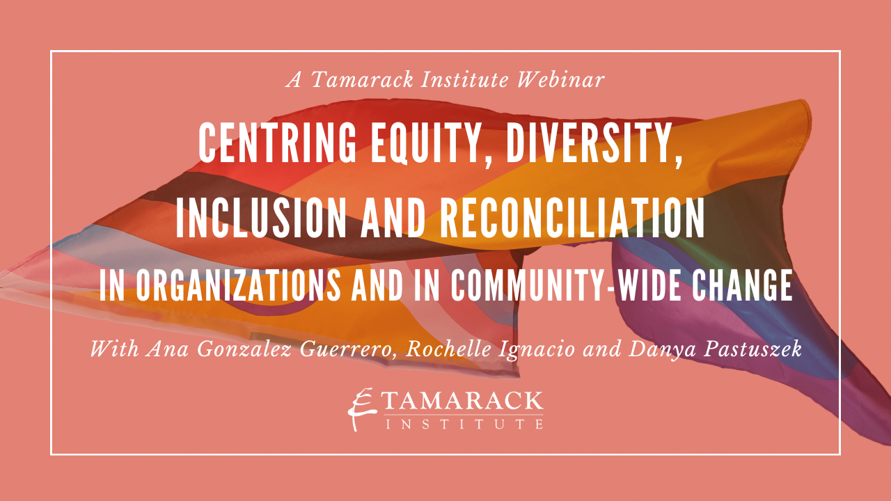 WEBINAR | Centring Equity, Diversity, Inclusion and Reconciliation in Organizations and in Community-Wide Change