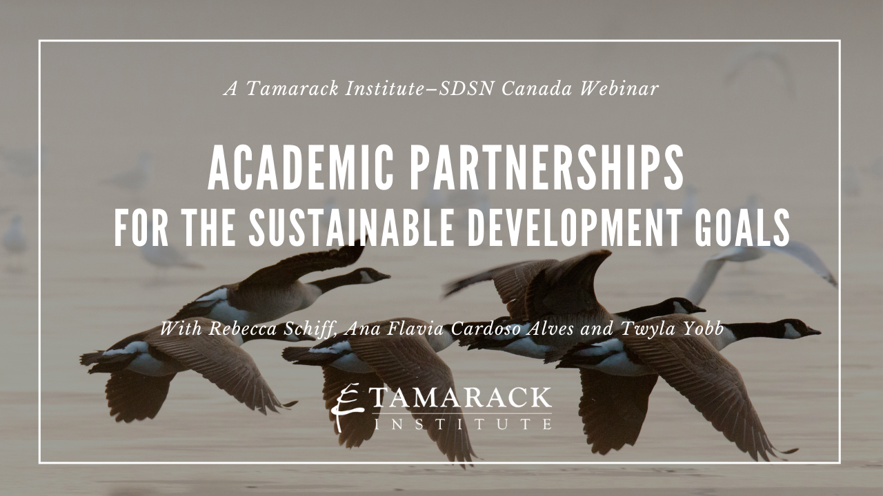 Webinar-image_Academic-Partnerships-for-the-Sustainable-Development-Goals