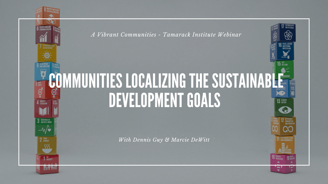 SDGs Webinar