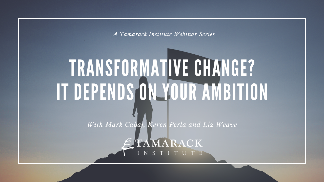 _Webinar- Transformative Change