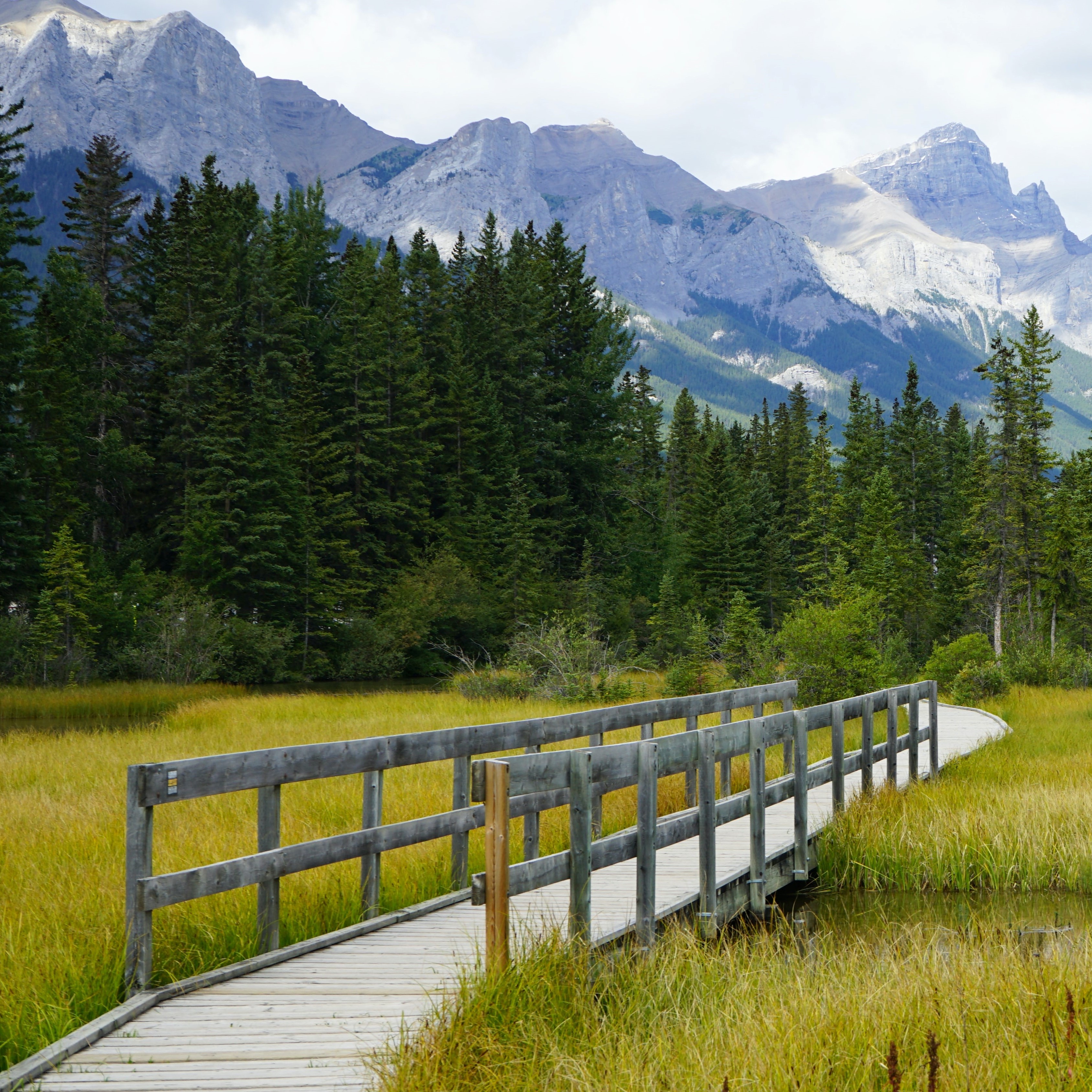 The Canmore Climate Transitions Cohort Group