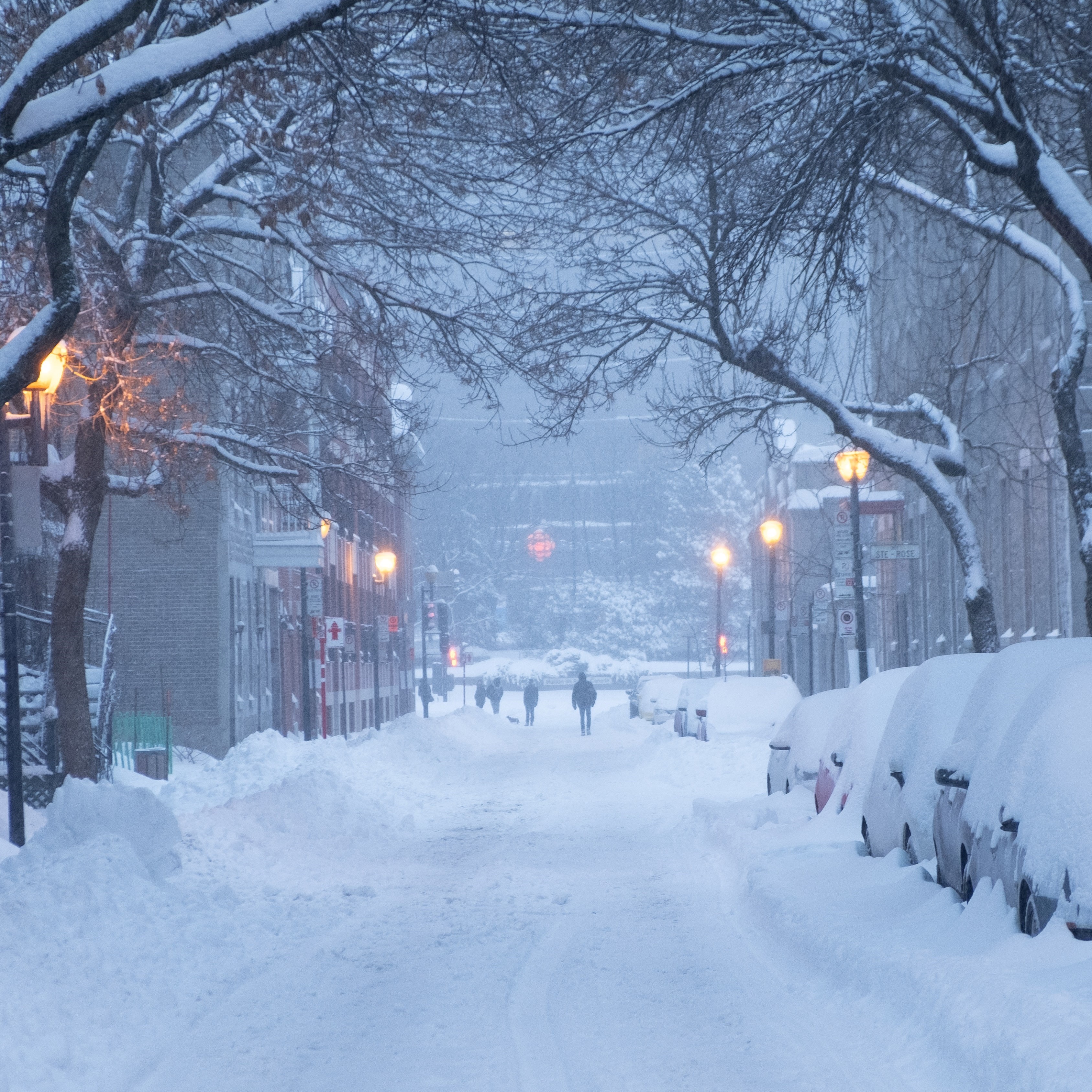 Le groupe de la cohorte pour la transition climatique de Montréal