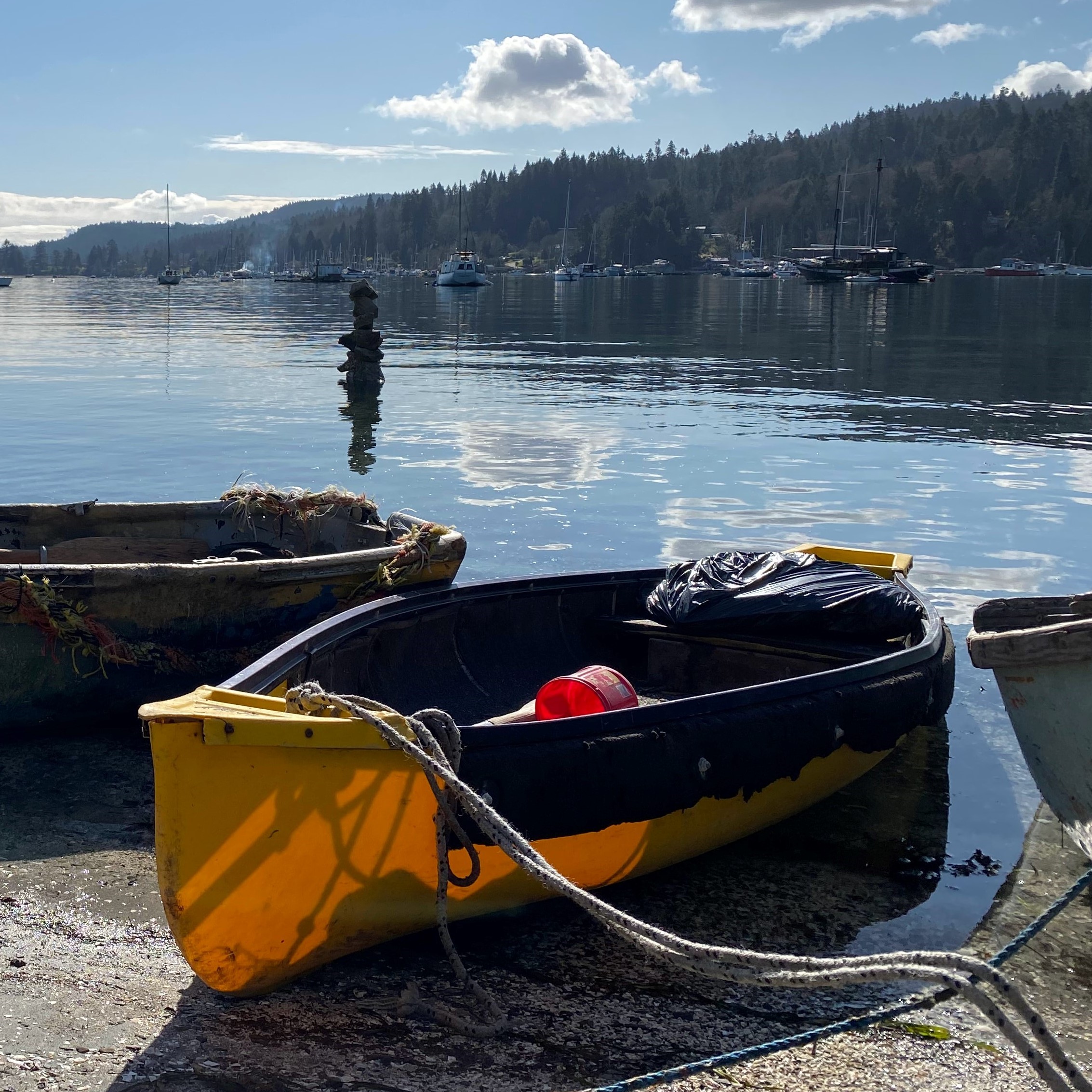 Le groupe de la cohorte pour la transition climatique de Salt Spring